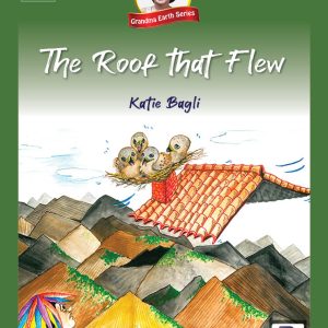 Katie Bagli Book 13 - The Roof that Flew